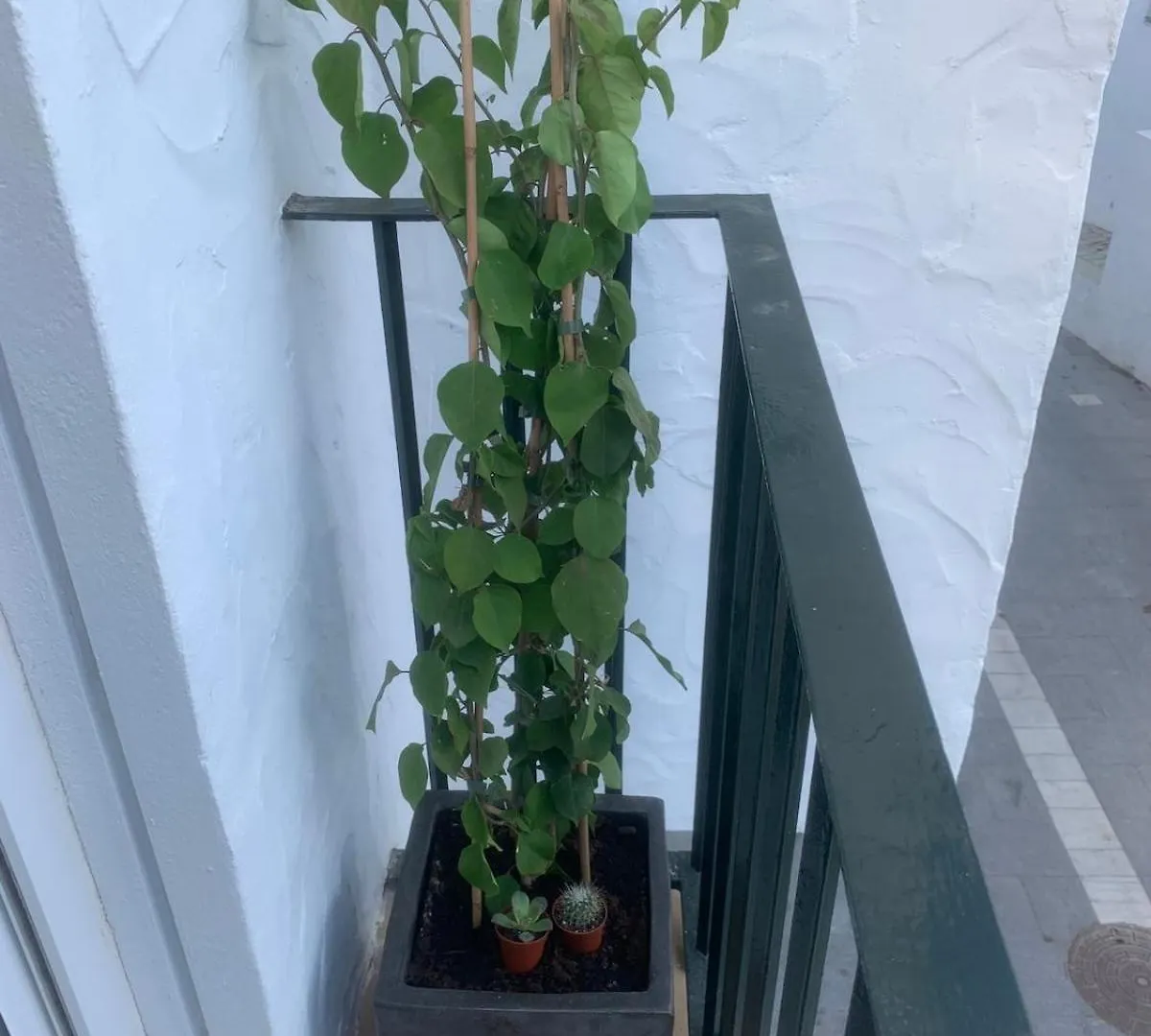 קוניל דה לה פרונטרה Apartamento Bateles דירה קוניל דה לה פרונטרה